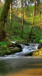 Превью обои австрия кляйн-пёхларн, водопад, тени, растительность, просветы