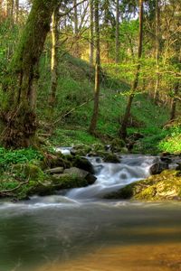 Превью обои австрия кляйн-пёхларн, водопад, тени, растительность, просветы