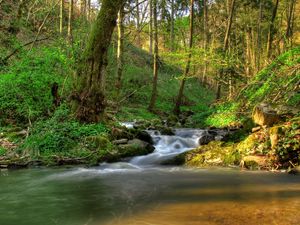 Превью обои австрия кляйн-пёхларн, водопад, тени, растительность, просветы