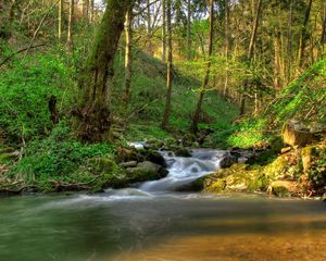 Превью обои австрия кляйн-пёхларн, водопад, тени, растительность, просветы