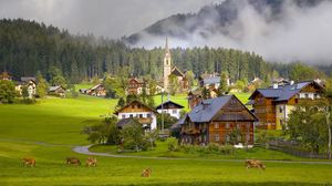 Превью обои австрия, austria, gosau, гозау, деревня, дома, коровы