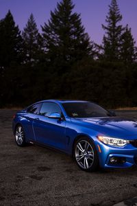 Превью обои авто, синий, вид сбоку, деревья