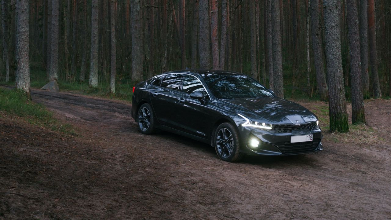Обои автомобиль, черный, лес