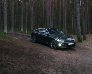 Превью обои автомобиль, черный, лес