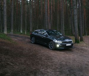 Превью обои автомобиль, черный, лес