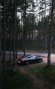 Превью обои автомобиль, черный, лес, деревья