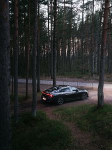 Превью обои автомобиль, черный, лес, деревья