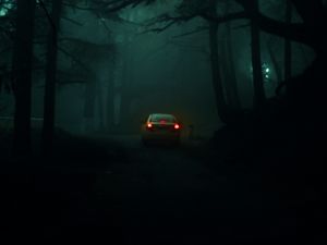 Превью обои автомобиль, деревья, туман, мрак, размытость, темный
