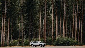 Превью обои автомобиль, деревья, вид сбоку