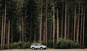 Превью обои автомобиль, деревья, вид сбоку