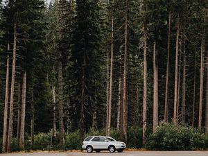 Превью обои автомобиль, деревья, вид сбоку