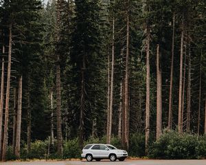 Превью обои автомобиль, деревья, вид сбоку