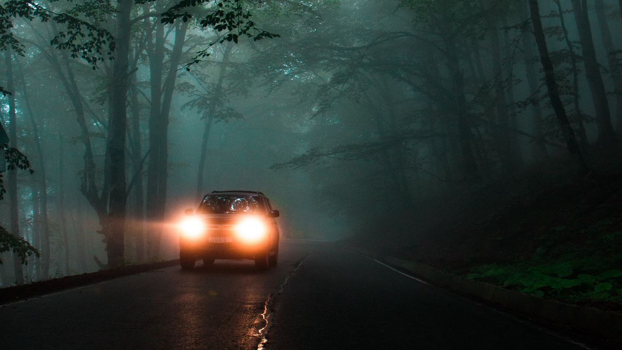 Обои автомобиль, фары, туман, свет, деревья, дорога