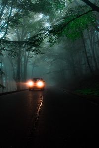 Превью обои автомобиль, фары, туман, свет, деревья, дорога