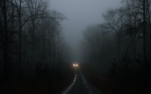 Превью обои автомобиль, фары, туман, деревья, дорога