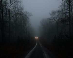 Превью обои автомобиль, фары, туман, деревья, дорога