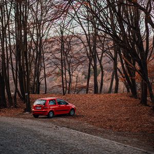Превью обои автомобиль, красный, природа, осень
