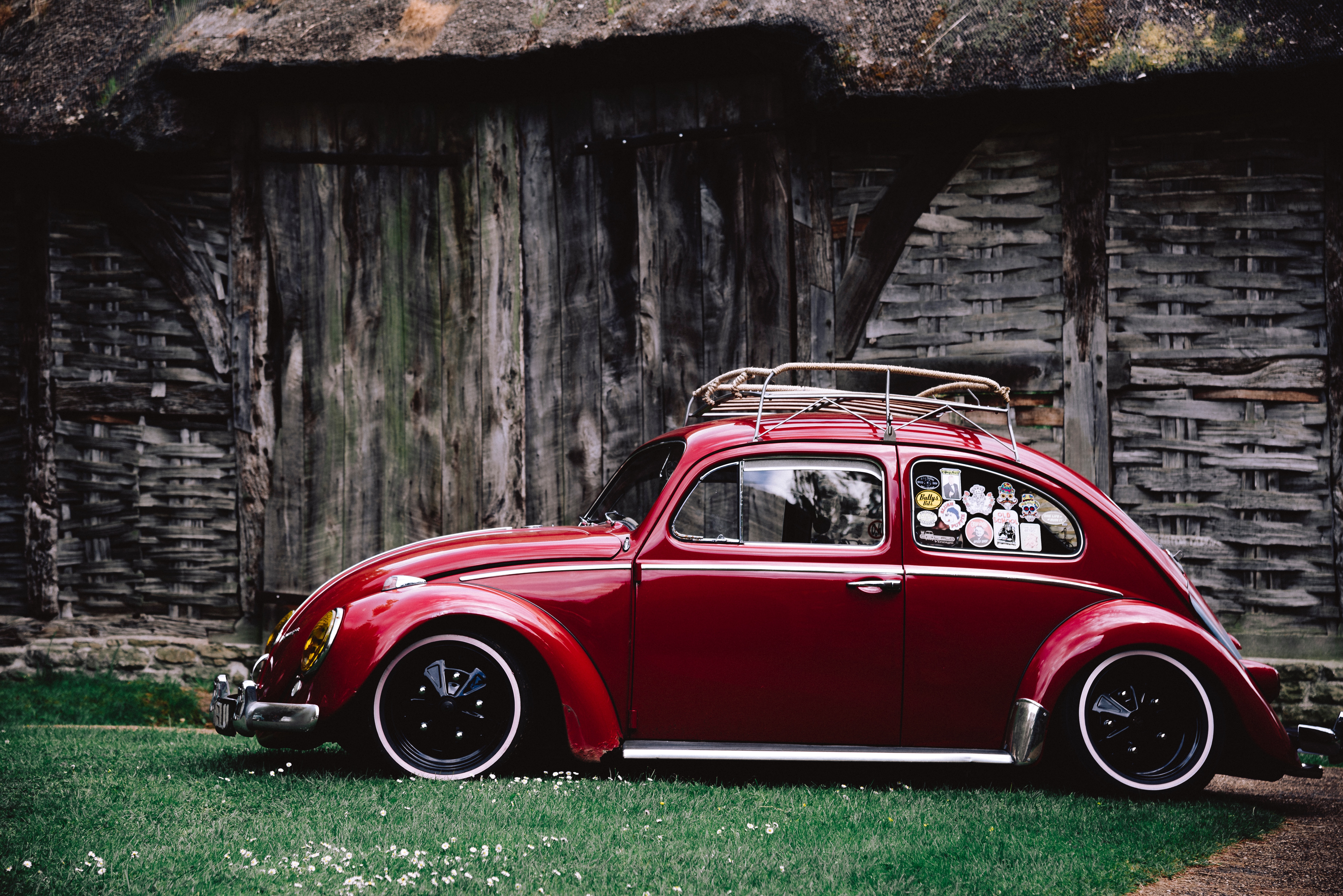 Volkswagen Beetle car