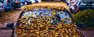 Превью обои автомобиль, опавшая листва, осень, листья