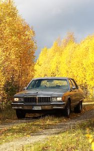 Превью обои автомобиль, серый, деревья, осень, желтый