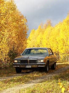 Превью обои автомобиль, серый, деревья, осень, желтый