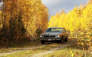 Превью обои автомобиль, серый, деревья, осень, желтый