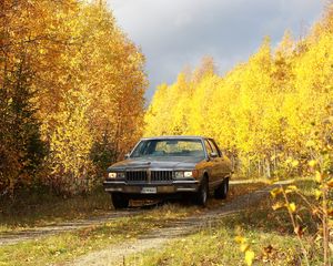 Превью обои автомобиль, серый, деревья, осень, желтый