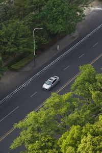 Превью обои автомобиль, серый, дорога, деревья, вид сверху