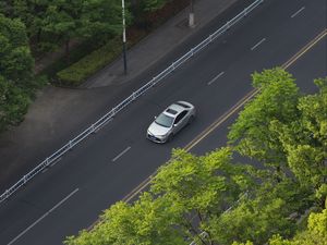 Превью обои автомобиль, серый, дорога, деревья, вид сверху