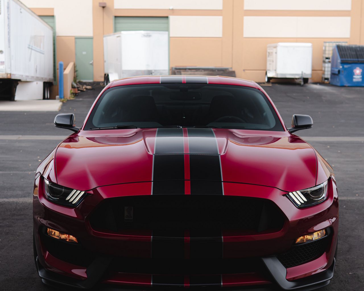 Shelby Mustang бордовая