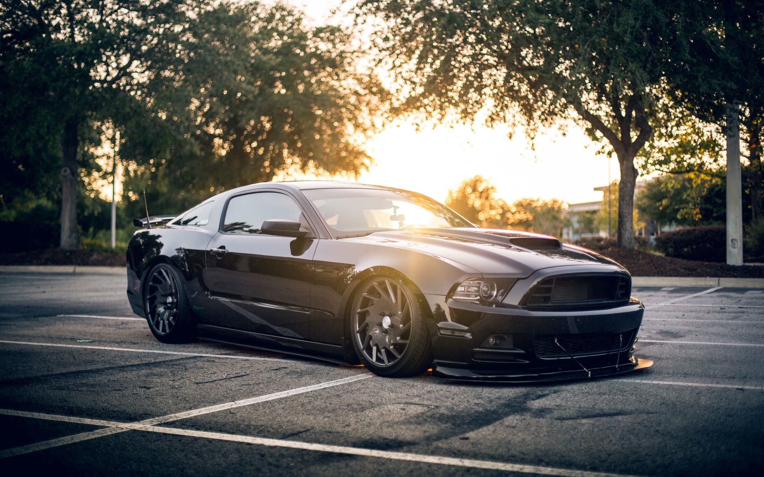 Ford Mustang Shelby 4k