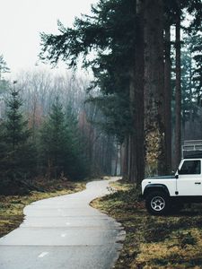 Превью обои автомобиль, внедорожник, белый, дорога, лес