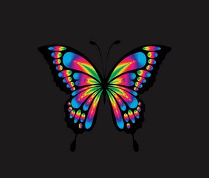 Превью обои бабочка, блеск, яркий, разноцветный, хроматический, призматический