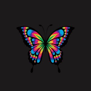 Превью обои бабочка, блеск, яркий, разноцветный, хроматический, призматический