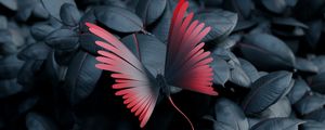Превью обои бабочка, листья, крылья, контраст