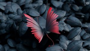 Превью обои бабочка, листья, крылья, контраст