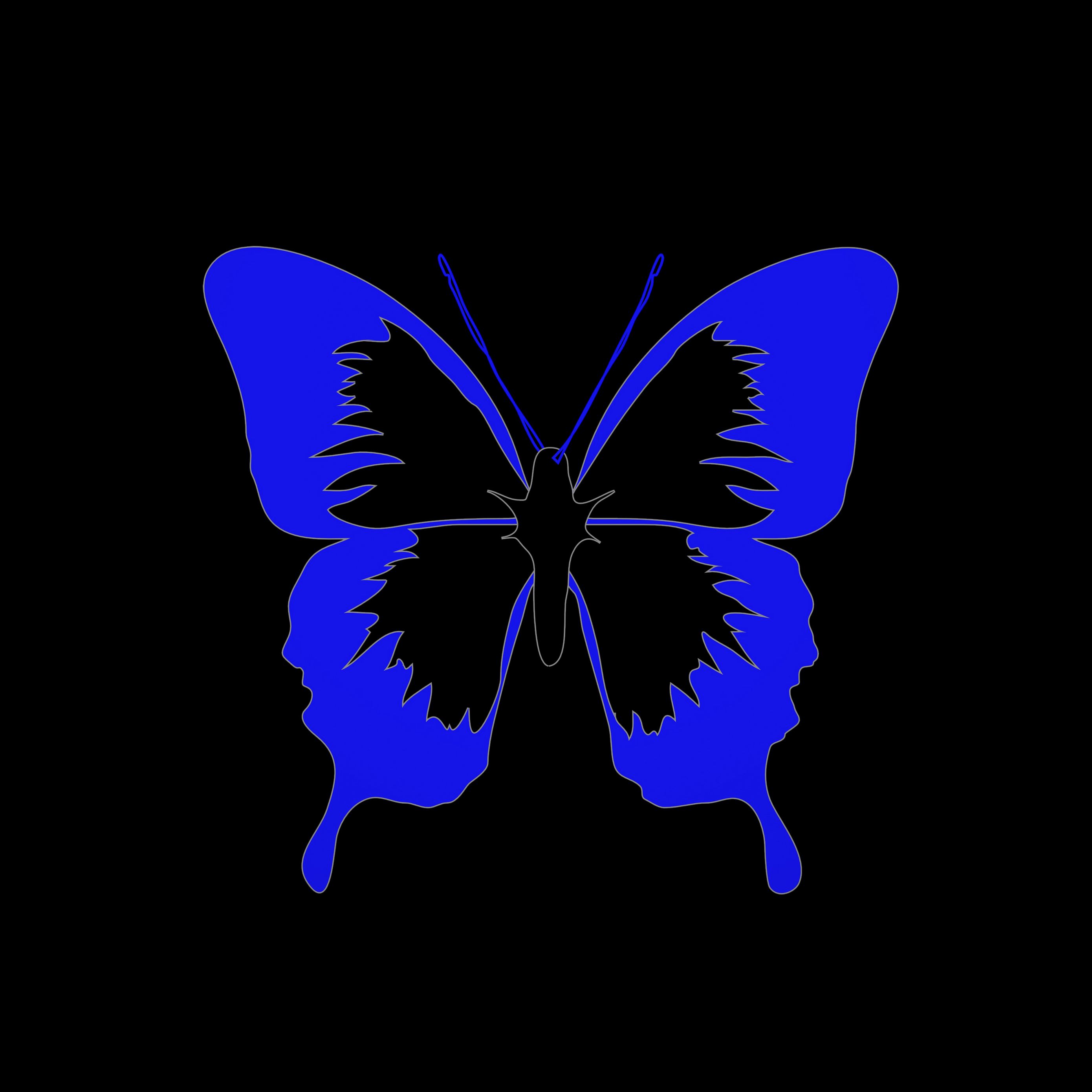 2780x2780 Обои бабочка, минимализм, черный, синий.