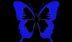 Превью обои бабочка, минимализм, черный, синий