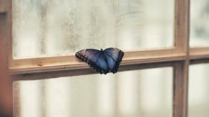 Превью обои бабочка, окно, крылья, узоры, рама