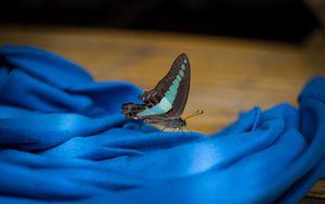 Превью обои бабочка, ткань, складки, макро, синий