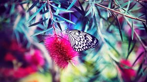 Превью обои бабочка, цветок, яркий, размытость