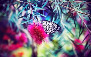 Превью обои бабочка, цветок, яркий, размытость