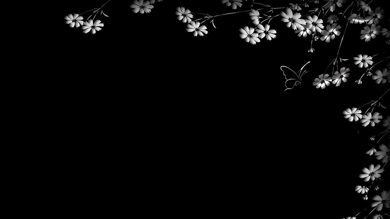 Обои бабочка, цветы, черный фон