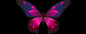 Превью обои бабочка, узоры, крылья, темный фон