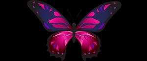 Превью обои бабочка, узоры, крылья, темный фон