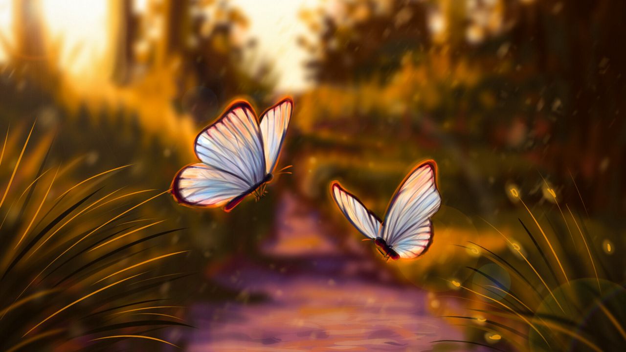 Обои бабочки, блики, свет, арт