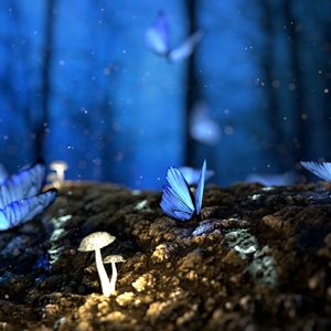 Превью обои бабочки, грибы, лес, фантазия, синий