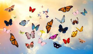Превью обои бабочки, небо, коллаж, фотошоп