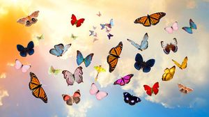 Превью обои бабочки, небо, коллаж, фотошоп