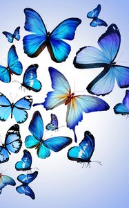 Превью обои бабочки, разноцветный, синий, рисунок, арт, красиво